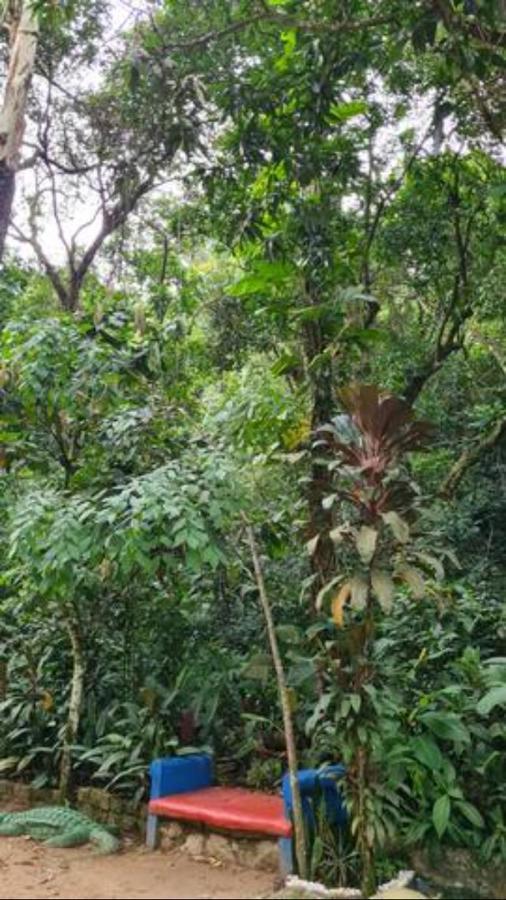 Estudio Da Floresta Río de Janeiro